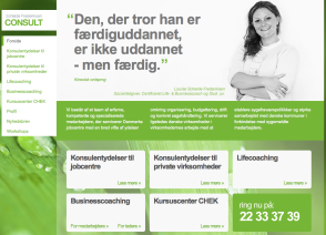 Schelde Frederiksen Consult