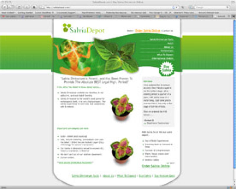 Salvia Depot (salviadepot)