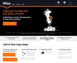 Skinny Mobile: Hosting & Support