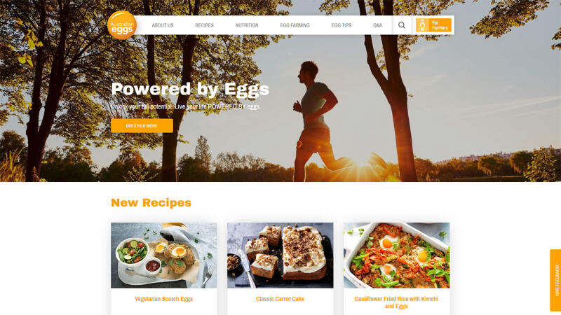 Australian Eggs (innoweb)