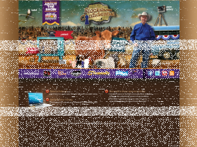 Stockshow Confidential