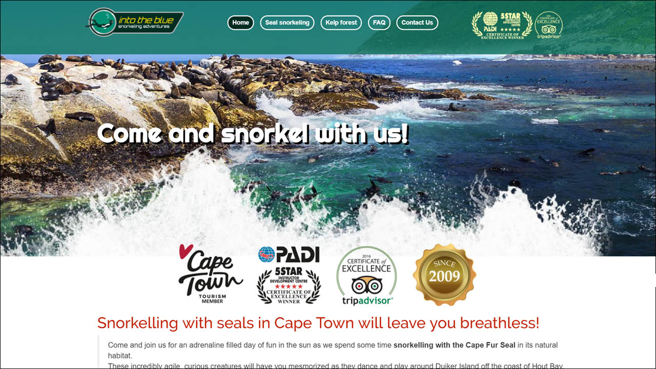 Snorkel Cape Town (Optic Blaze)